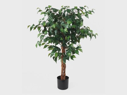 Kunstplant Fig Ficus | Present Time