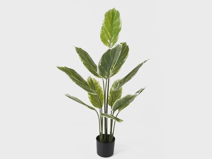 Kunstplant Calathea | Present Time Kunstplant Calathea | Present Time