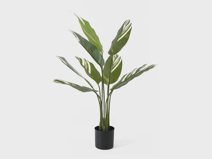 Kunstplant Calathea | Present Time