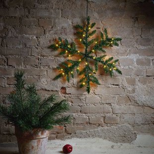 STAR TRADING LED buitendecoratie Snowflake, op batterijen