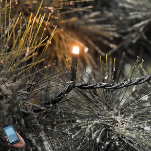 Konstsmide Christmas Micro LED lichtketting voor buiten, schakelbaar via App