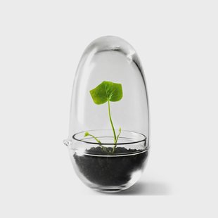 Design House Stockholm Grow kas small Ø8 cm