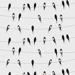 Arvidssons Textil Ladusvalor stof wit