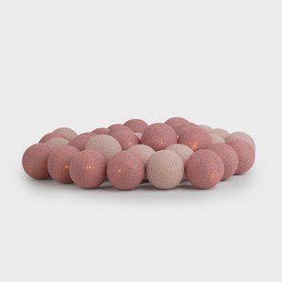 Irislights Irislights French rose 20 bollen