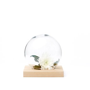 A2 Space decoratie witgeolied eikenhout, glas