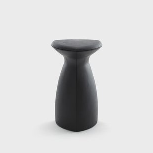 Byarums bruk Fungi kruk Zwart