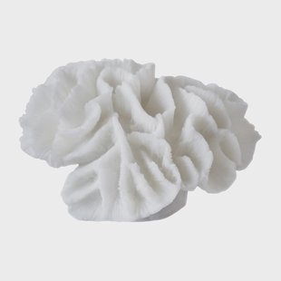 Mette Ditmer Coral gills White