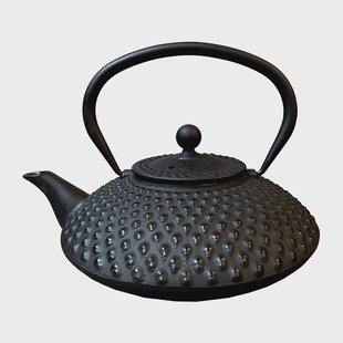 Satake Satake theekan ovaal 1,2 l Zwart