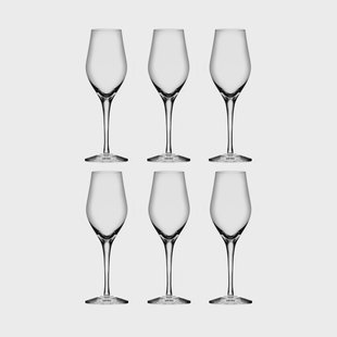 Orrefors Sense champagneglas 25,5 cl 6-pack Transparant