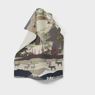 Arvidssons Textil Fjällvandring keukenhanddoek 46x70 cm Beige