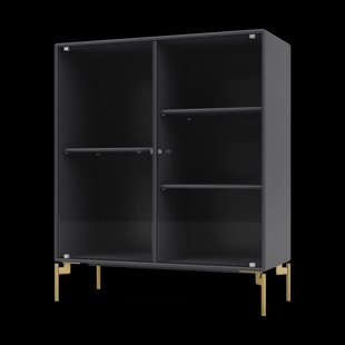 Montana Ripple II vitrinekast 69,6x82,2x30 cm Antracietpoten messing