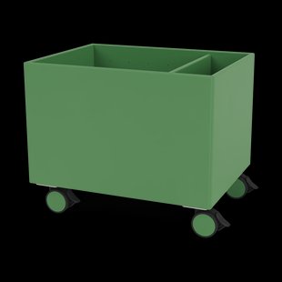 Montana Colour Box II Parsley