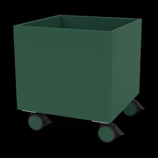 Montana Colour Box I – S6161 Pine