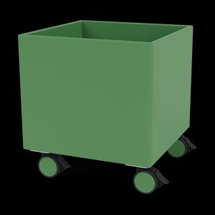 Montana Colour Box I – S6161 Parsley