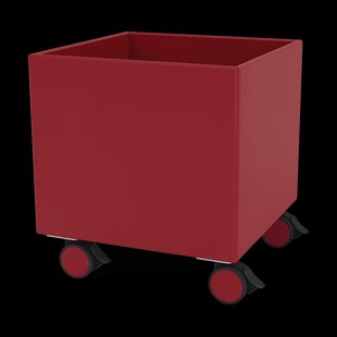 Montana Colour Box I – S6161 Beetroot