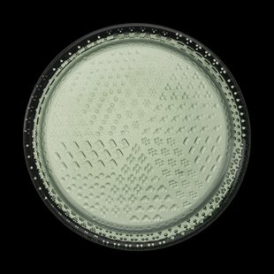 Iittala Tundra bordje Ø15 cm Dennengroen