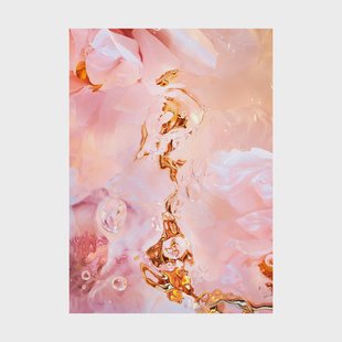 Paper Collective Flora Aquatica 02 poster 50x70 cm