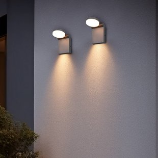 Trio Lighting Buitenwandlamp Adour, antraciet, kantelbaar, CCT, IP44