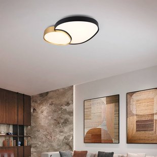 Trio Lighting Plafondlamp Rise, zwart-goud, 77 x 63 cm, CCT, dimbaar