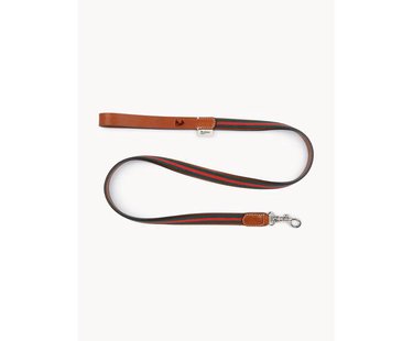 Handgemaakte hondenleiband Baseball