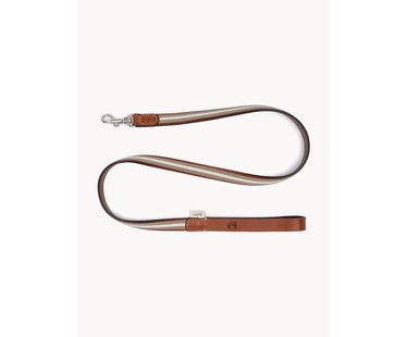 Handgemaakte hondenleiband honkbal