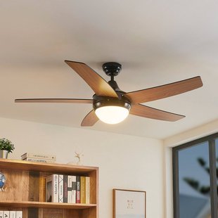 Lindby Plafondventilator met verlichting Auraya, stil, zwart