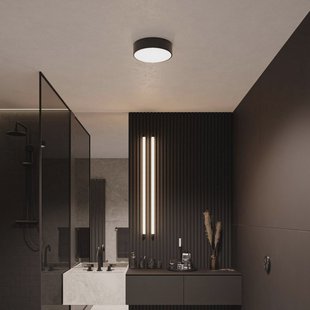 TEMAR LIGHTING Plafondlamp Cleo, Ø 20 cm, IP54, zwart, metaal, E27