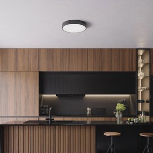 TEMAR LIGHTING Plafondlamp Cleo, Ø 50 cm, IP54, zwart, metaal, E27