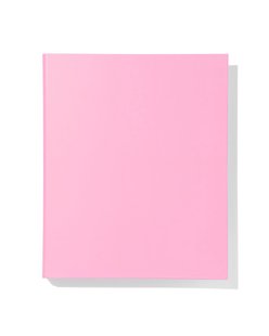 HEMA Ringbandmap 2-rings A4 roze (roze)