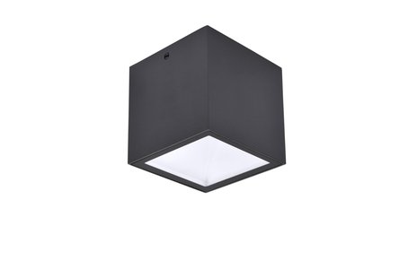 Lutec Gemini - buiten plafondlamp LED - 8,5 x 8,5 x 8,5 cm - 6,9W LED incl. - IP65 - donker grijs