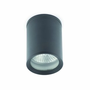 Faro Tasa - opbouwspot 1L - Ø 11 x 14 cm - IP44 - donkergrijs