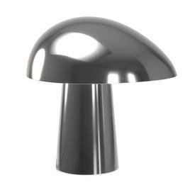 Fritz Hansen Night Owl Tafellamp Polished Steel