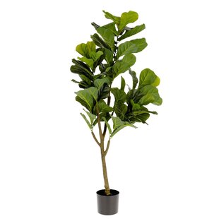 Kave Home Ficus Kunstplant 150