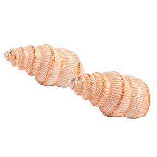 &amp;klevering Shell Peper- En Zoutstel