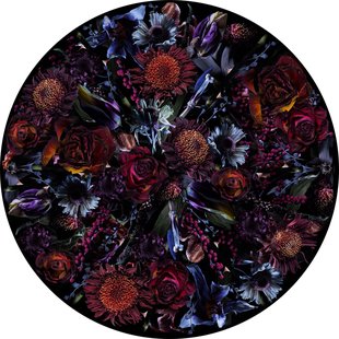 Moooi Carpets Fool&#039;s Paradise Vloerkleed 350