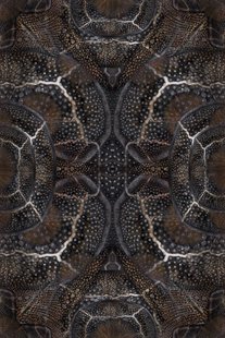 Moooi Carpets Blooming Seadragon Vloerkleed 200x300