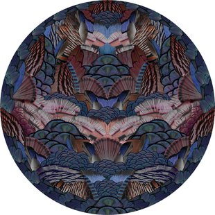 Moooi Carpets Calligraphy Bird Vloerkleed 350