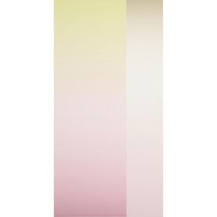 Petite Friture Panorama By Carole Baijings Behang Midday Part 2