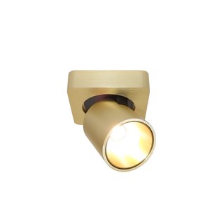 Artdelight Laguna - opbouwspot 1L - 10 x 10 x 9,5 cm - 6W dimbare LED incl. - goud geborsteld