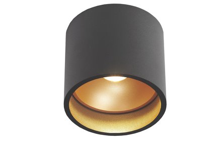 Artdelight Ormond - plafondverlichting - Ø 11 x 10 cm - 7W dimbare LED incl. - IP54 - zwart/goud