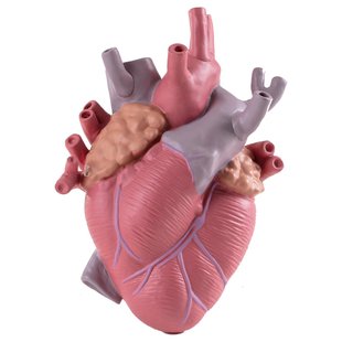 Seletti Love In Bloom Hart Vaas Color