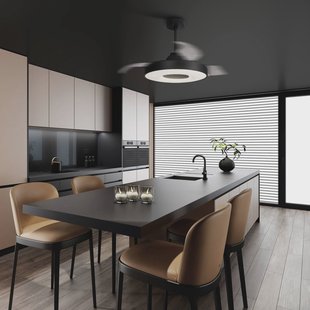 Mantra Iluminación LED plafondventilator Coin zwart DC-motor stil 106 cm CCT