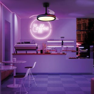 Mantra Iluminación LED plafondventilator North zwart DC stil Ø 91 cm CCT RGB