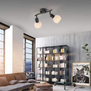 JUST LIGHT. GmbH JUST LIGHT. Loki plafondlamp, 2-lamps, zwart, ijzer, glas