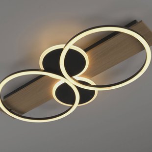 JUST LIGHT. GmbH JUST LIGHT. Trooper plafondlamp, ijzer, hout