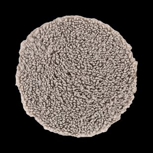 Malia teddy vachtje lichtgrijs - Ø 34 cm