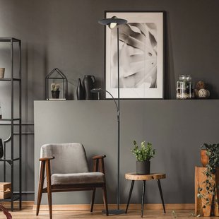 Steinhauer Zenith LED vloerlamp, leeslamp, CCT, metaal, zwart