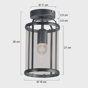 Steinhauer Pimpernel plafondlamp, zwart, metaal, glas