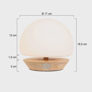 Steinhauer Ancilla tafellamp, hout, glas, beuken, opaal wit, G9 fitting