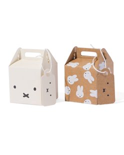 HEMA Cadeau vouwdoosjes karton 5x5x5 bladeren - 6 stuks